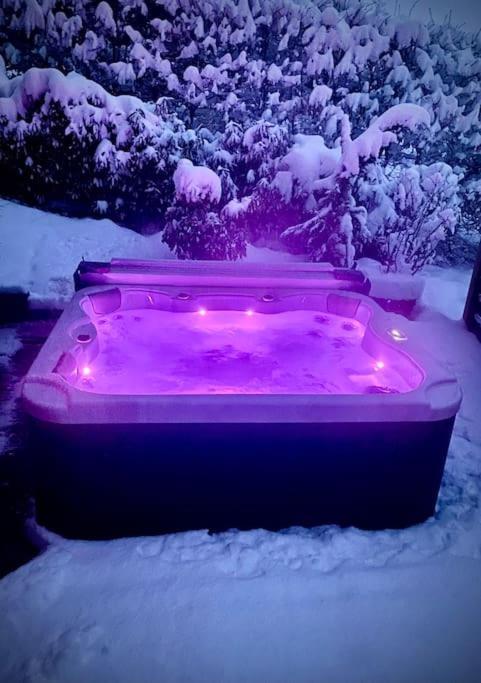 Androsace Appartement Dans Chalet Bois Avec Jacuzzi Privatif Terrasse Et Vue Montagne Les Villards-sur-Thônes Exterior foto